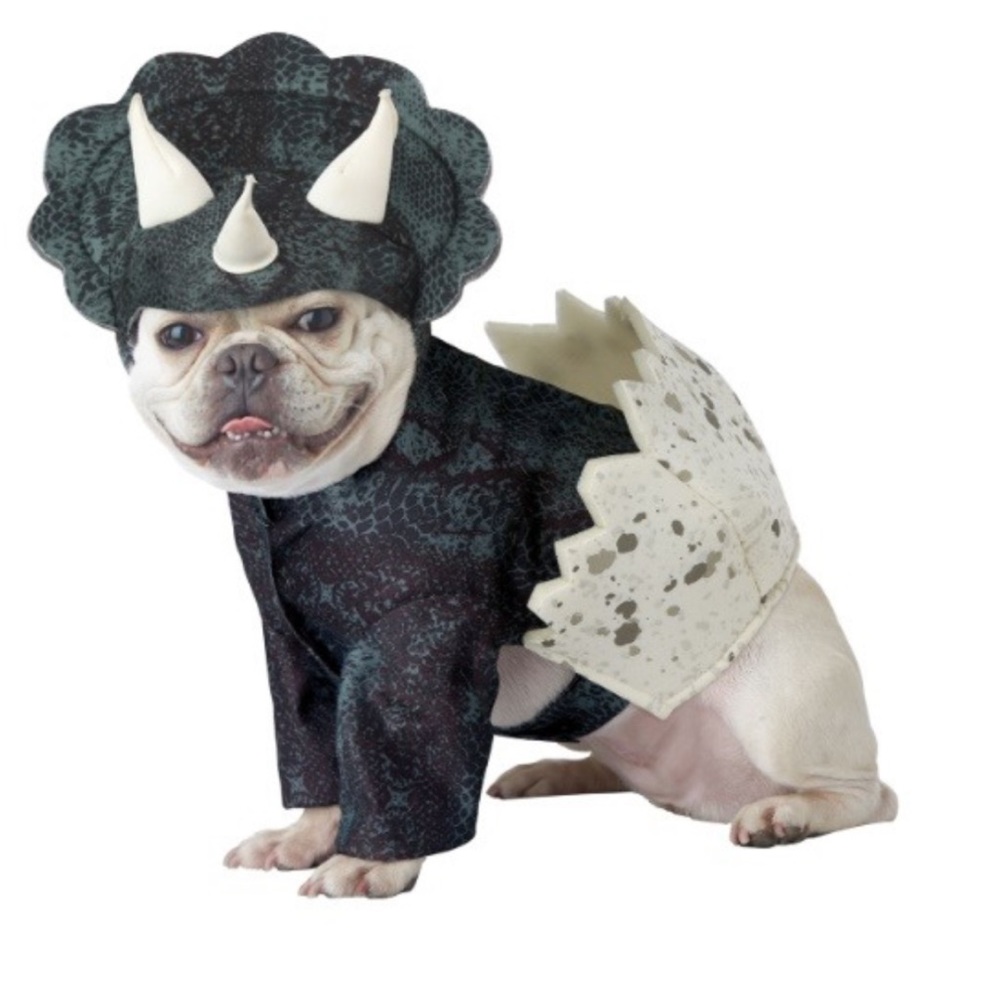 Stegosaurus Dino Pup Pet Costume- size small